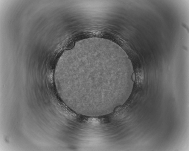 X0000102410613200808291509