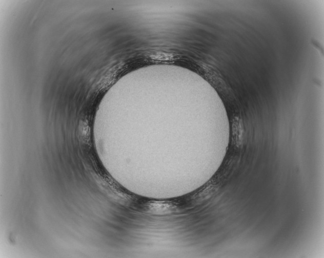 X0000102410614200808291509