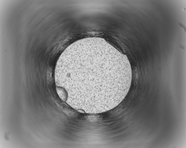 X0000102410615200808291509