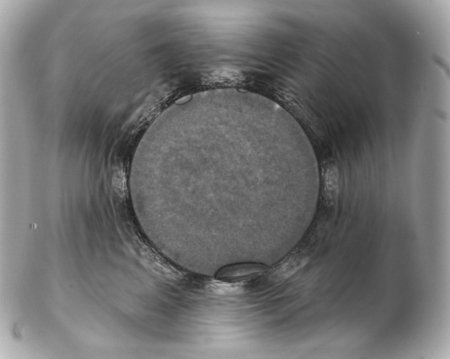 X0000102410617200808291509