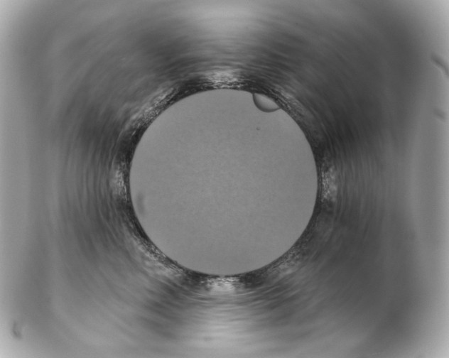 X0000102410618200808291509