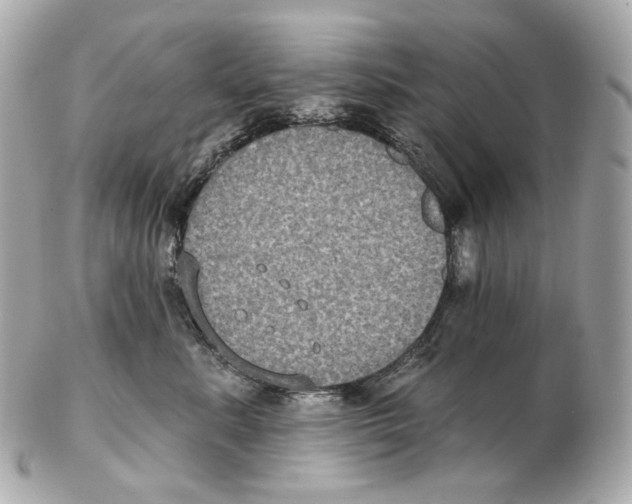 X0000102410619200808291509