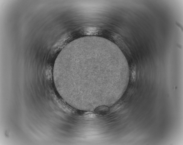 X0000102410620200808291509