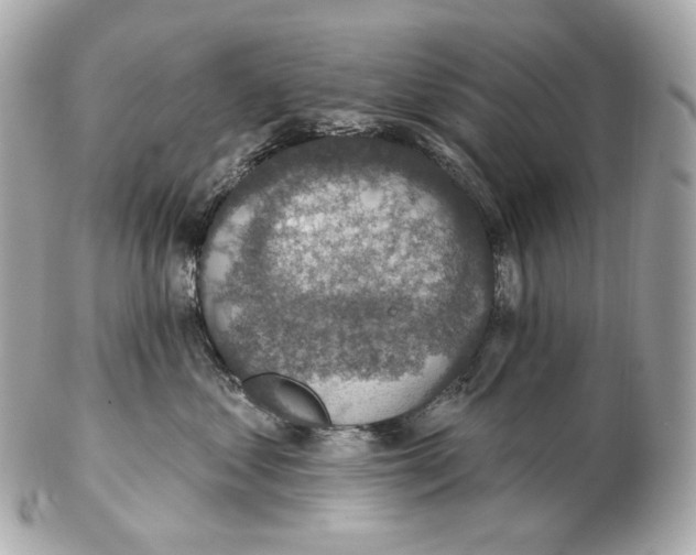 X0000102410621200808291509