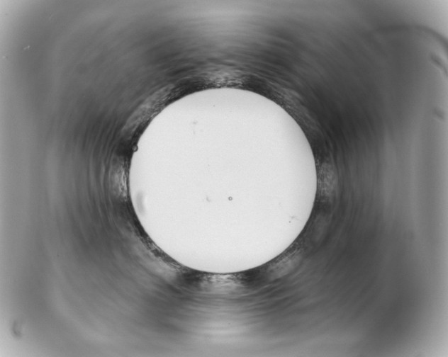 X0000102410622200808291509