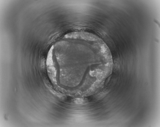 X0000102410623200808291509