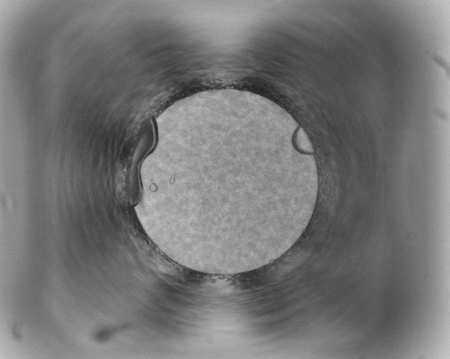 X0000102410624200808291509