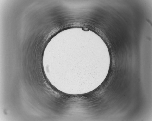 X0000102410625200808291508