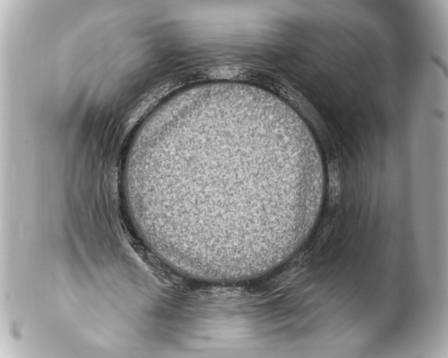 X0000102410626200808291508