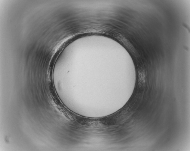 X0000102410628200808291508