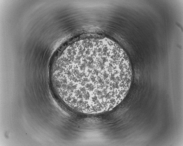 X0000102410630200808291508