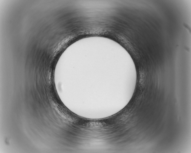 X0000102410636200808291508