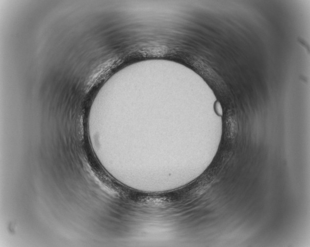 X0000102410638200808291508