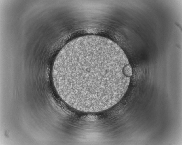 X0000102410639200808291508