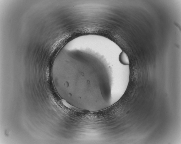 X0000102410640200808291508