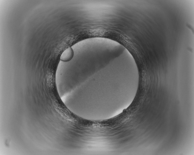 X0000102410641200808291508