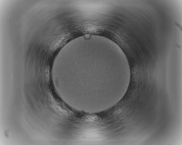 X0000102410642200808291508