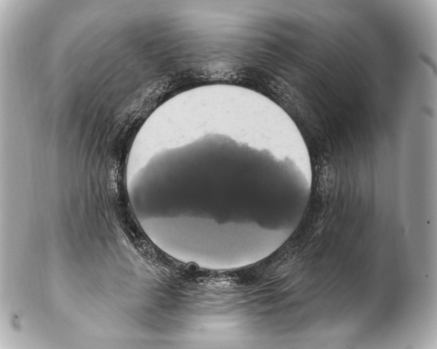 X0000102410643200808291509