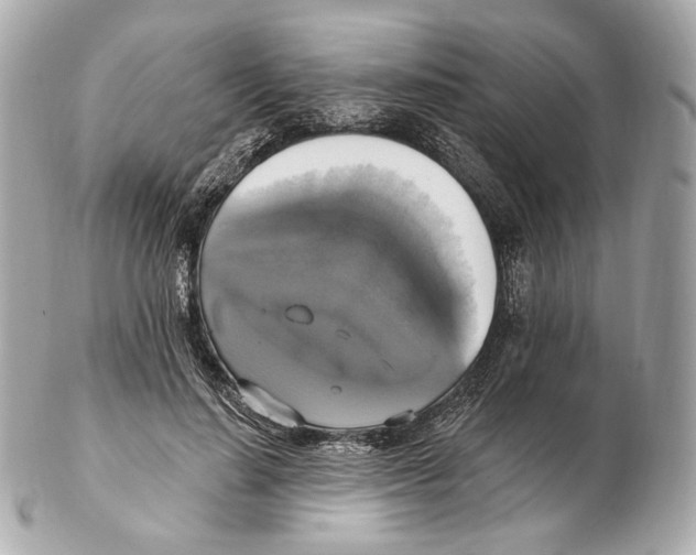 X0000102410644200808291509