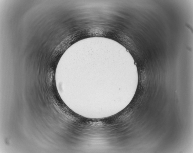 X0000102410645200808291509