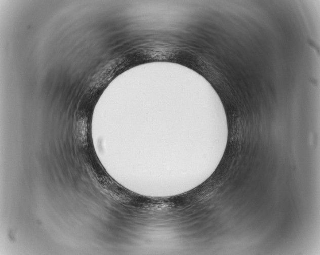 X0000102410646200808291509