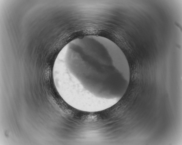 X0000102410647200808291509