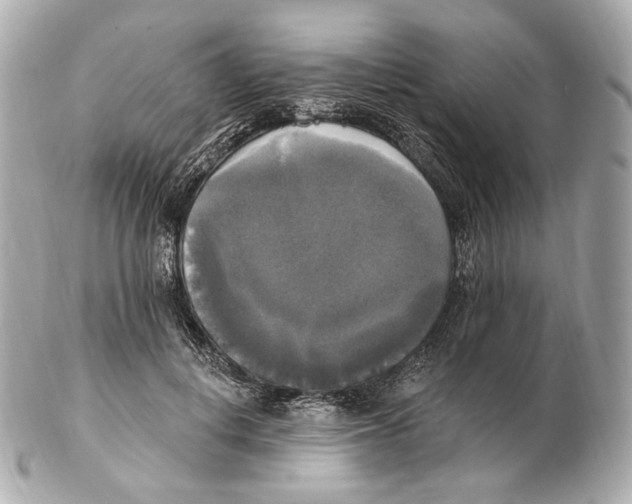 X0000102410648200808291509