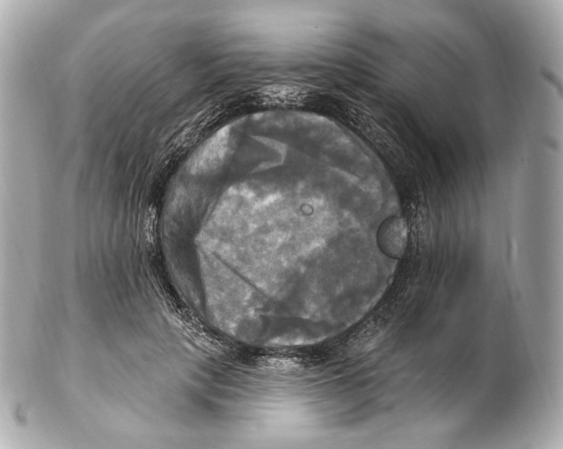 X0000102410649200808291509