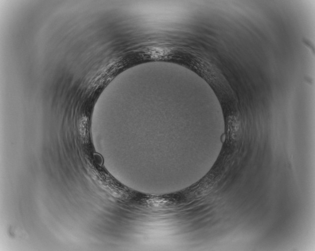 X0000102410650200808291509