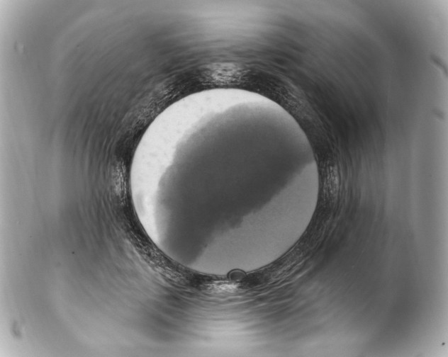 X0000102410651200808291509