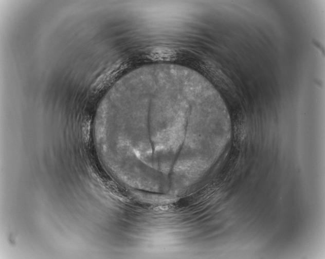 X0000102410652200808291509