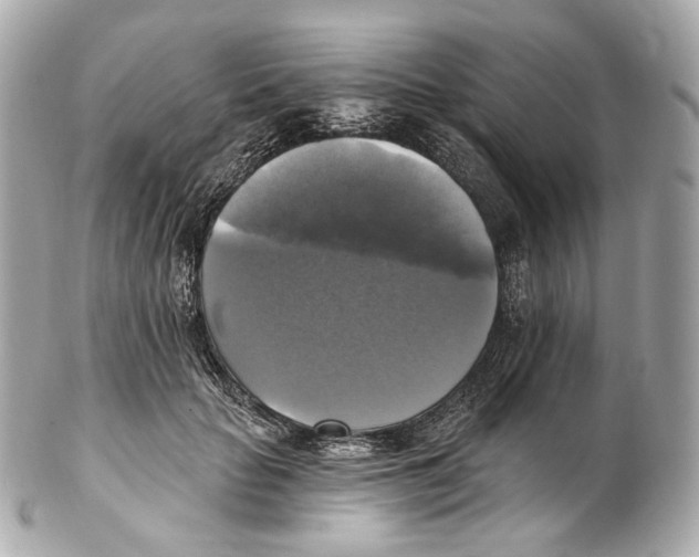 X0000102410653200808291509