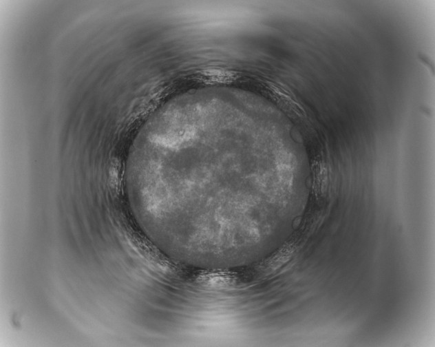 X0000102410655200808291509