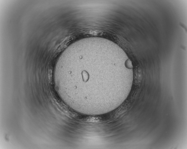 X0000102410656200808291509