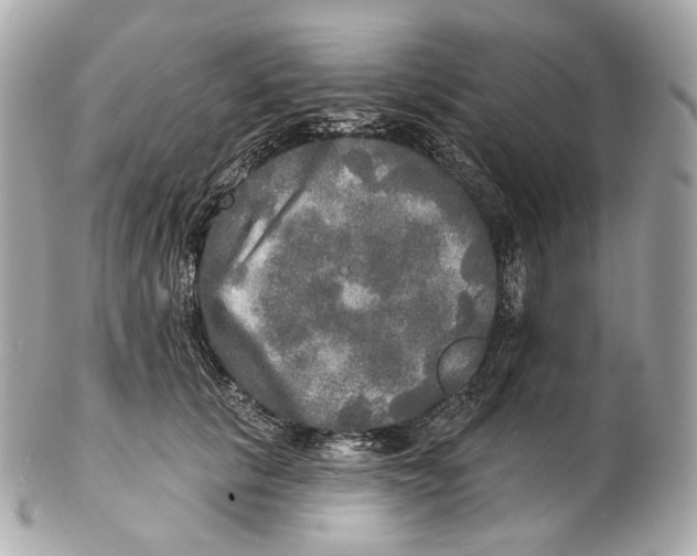 X0000102410657200808291509