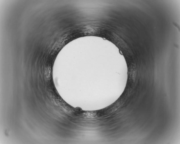 X0000102410660200808291509