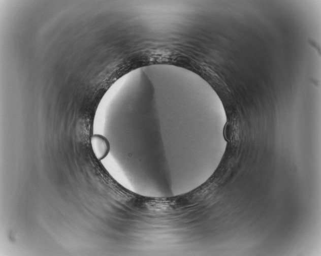 X0000102410661200808291509