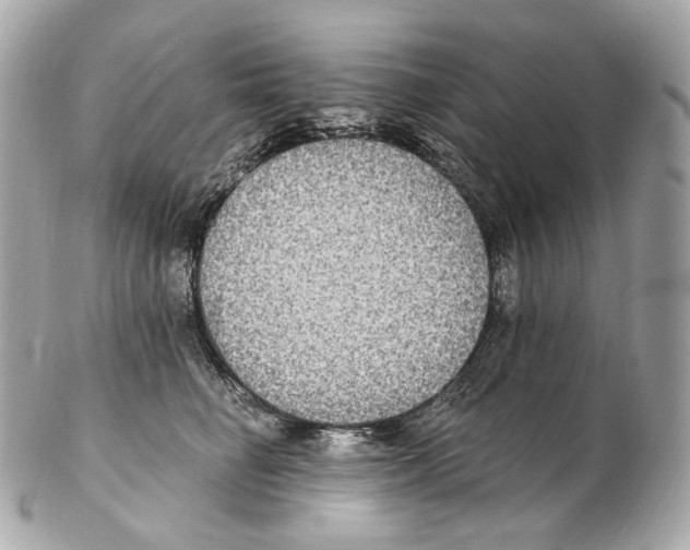 X0000102410662200808291509