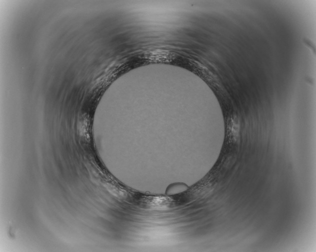 X0000102410663200808291509