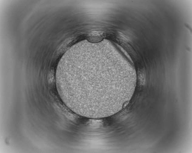 X0000102410665200808291509