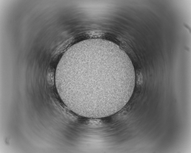 X0000102410666200808291509