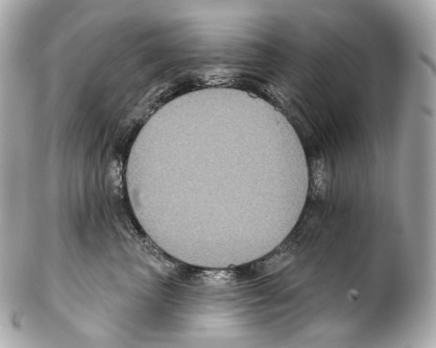 X0000102410667200808291509