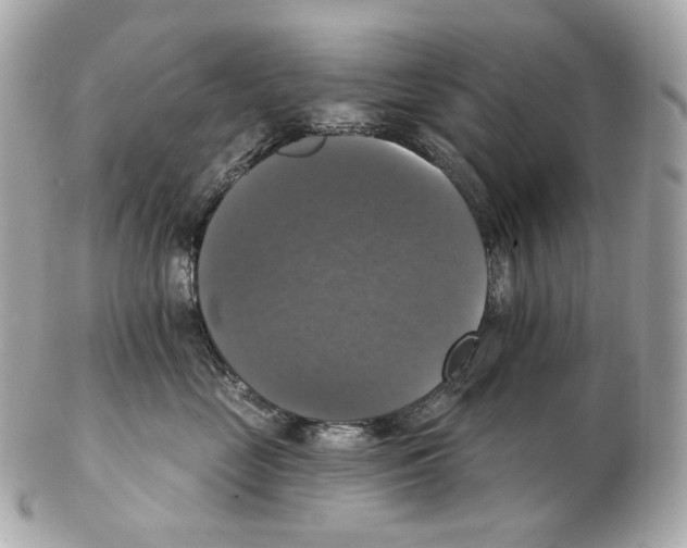 X0000102410669200808291509