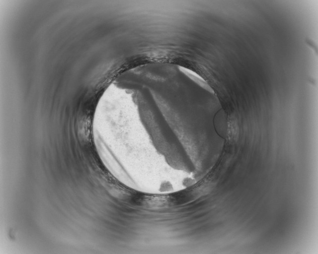 X0000102410671200808291509