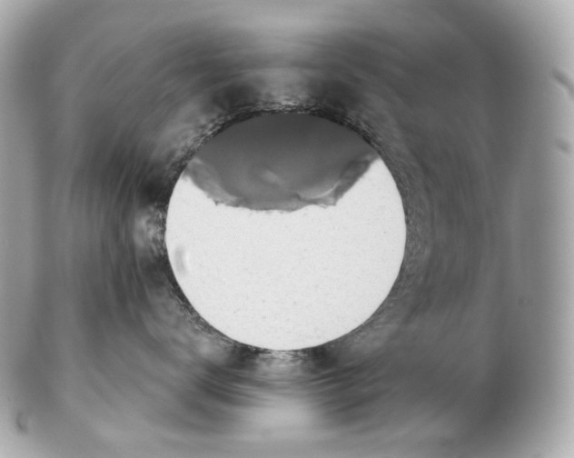 X0000102410672200808291509