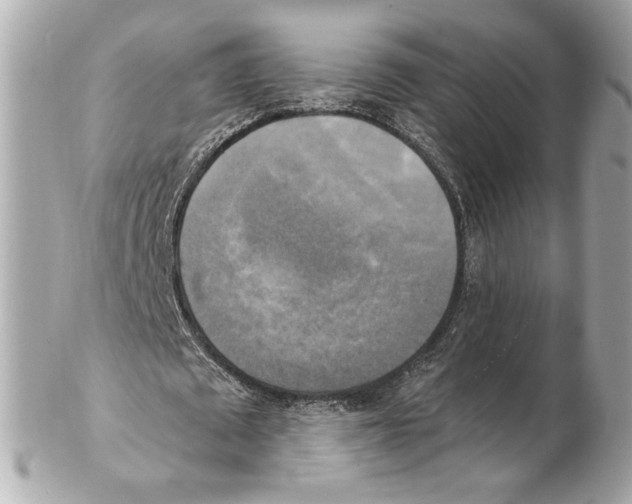 X0000102410673200808291508