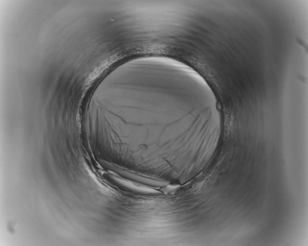 X0000102410674200808291508