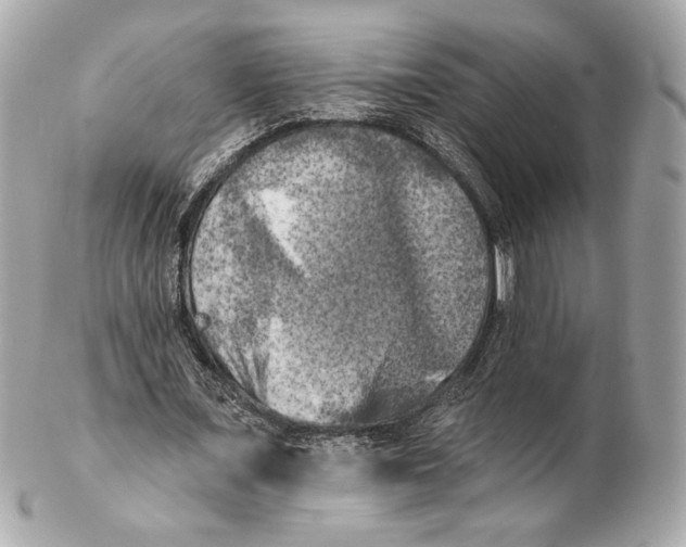 X0000102410675200808291508