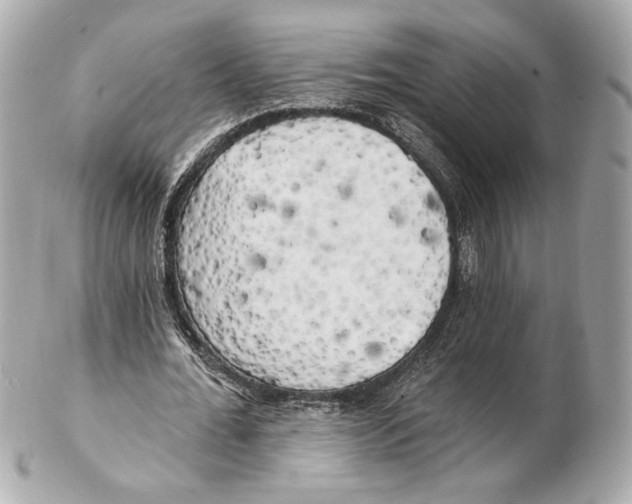 X0000102410676200808291508