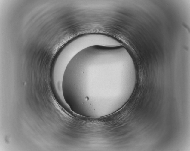 X0000102410677200808291508